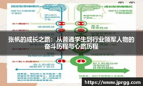 张帆的成长之路：从普通学生到行业领军人物的奋斗历程与心路历程